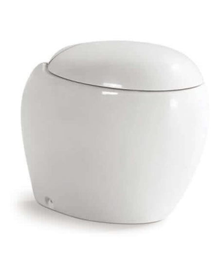 Coppia Sanitari Filo Muro Sospesi / A Terra Design Moderno