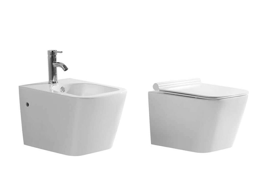 Coppia Sanitari Moderni Sospesi / A Terra Filo Muro - Tulipano
